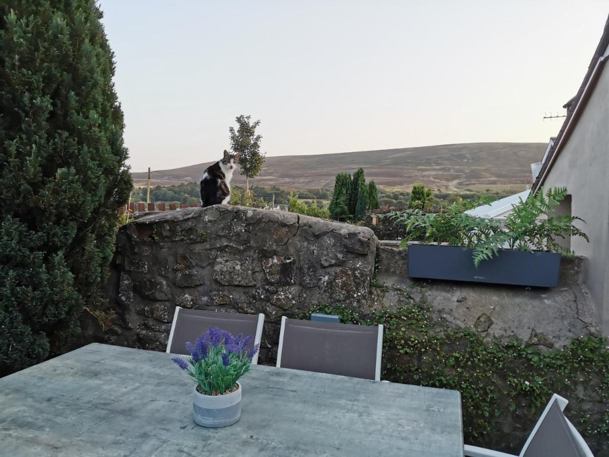 Ex-Miners Cottage, Blaenavon, Near Abergavenny Экстерьер фото
